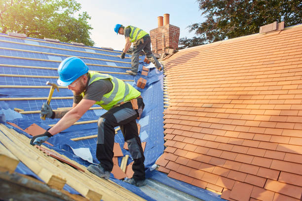Best Roof Moss and Algae Removal  in Sunray, TX